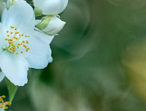 CF刀锋寨热度持续攀升，成为穿越火线最受欢迎地图之一