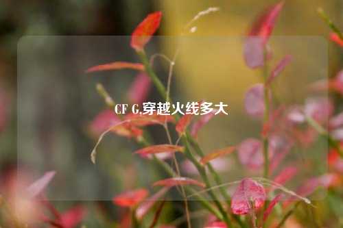 CF G,穿越火线多大