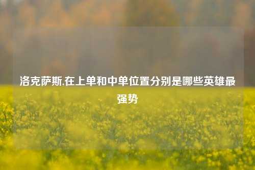 洛克萨斯,在上单和中单位置分别是哪些英雄最强势