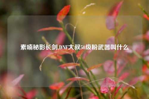 素喃秘影长剑,DNF大叔50级粉武器叫什么