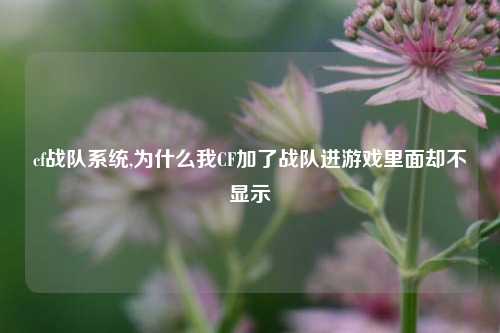 cf战队系统,为什么我CF加了战队进游戏里面却不显示