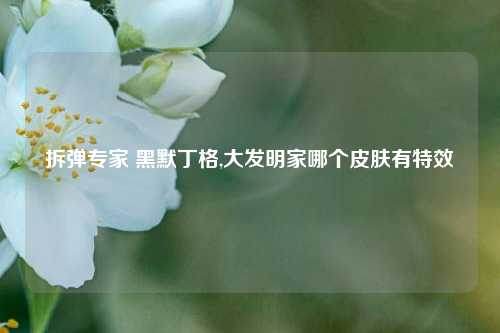 拆弹专家 黑默丁格,大发明家哪个皮肤有特效