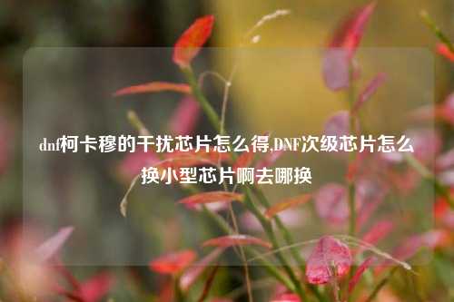 dnf柯卡穆的干扰芯片怎么得,DNF次级芯片怎么换小型芯片啊去哪换