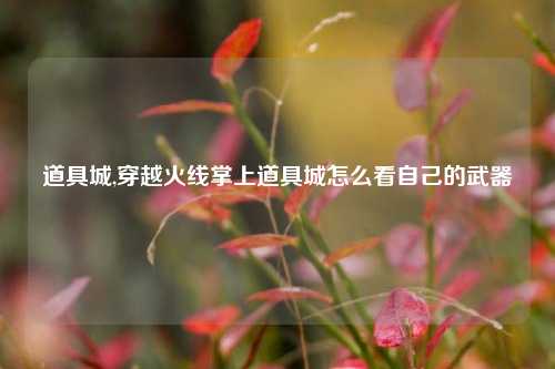 道具城,穿越火线掌上道具城怎么看自己的武器