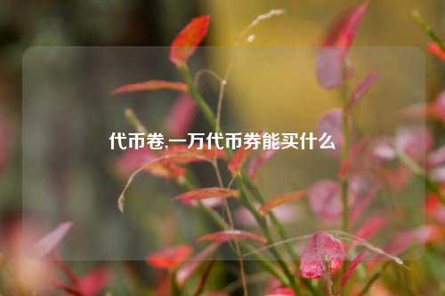 代币卷,一万代币券能买什么