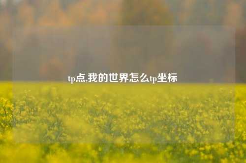 tp点,我的世界怎么tp坐标