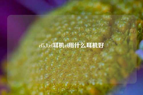 cf5.1,cf耳机cf用什么耳机好