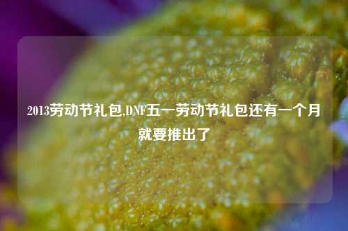 2013劳动节礼包,DNF五一劳动节礼包还有一个月就要推出了