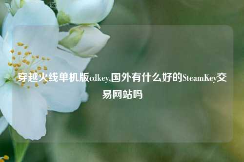 穿越火线单机版cdkey,国外有什么好的SteamKey交易网站吗