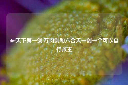 dnf天下第一剑,万钧剑和六合天一剑一个可以自行救主