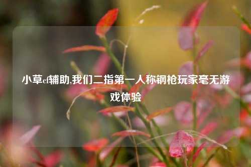 小草cf辅助,我们二指第一人称钢枪玩家毫无游戏体验
