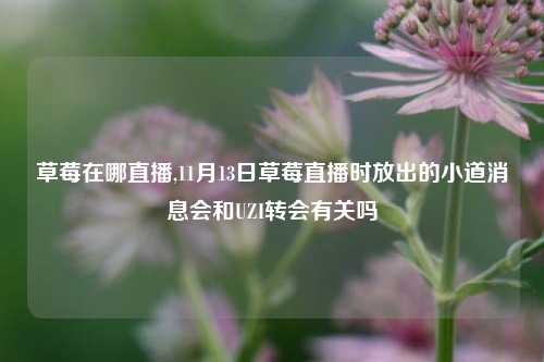 草莓在哪直播,11月13日草莓直播时放出的小道消息会和UZI转会有关吗