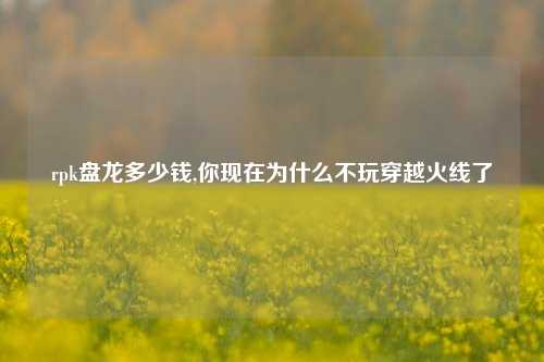 rpk盘龙多少钱,你现在为什么不玩穿越火线了