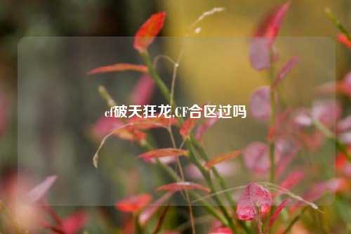 cf破天狂龙,CF合区过吗