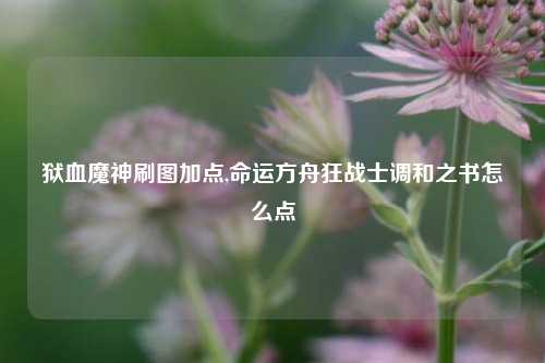 狱血魔神刷图加点,命运方舟狂战士调和之书怎么点