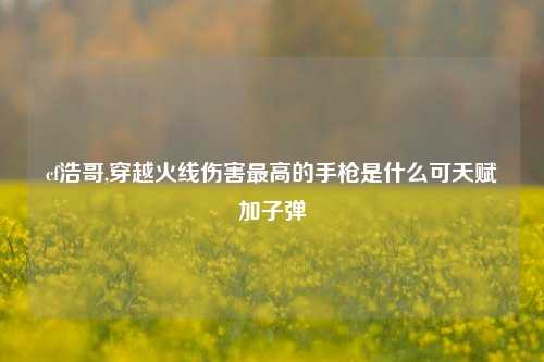 cf浩哥,穿越火线伤害最高的手枪是什么可天赋加子弹