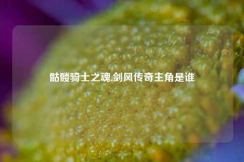 骷髅骑士之魂,剑风传奇主角是谁