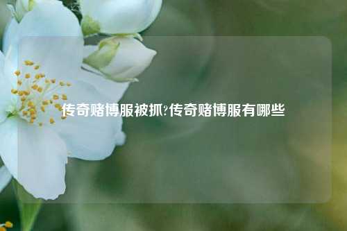 传奇赌博服被抓?传奇赌博服有哪些