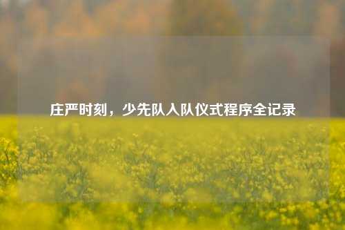 庄严时刻，少先队入队仪式程序全记录