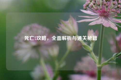 死亡7攻略，全面解析与通关秘籍