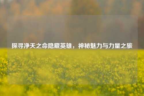 探寻净天之命隐藏英雄，神秘魅力与力量之旅