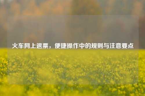 火车网上退票，便捷操作中的规则与注意要点