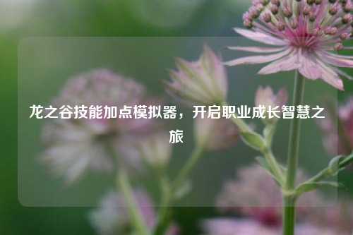 龙之谷技能加点模拟器，开启职业成长智慧之旅