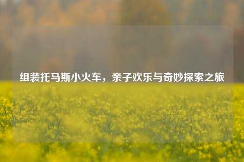 组装托马斯小火车，亲子欢乐与奇妙探索之旅