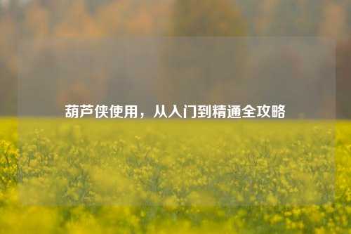 葫芦侠使用，从入门到精通全攻略