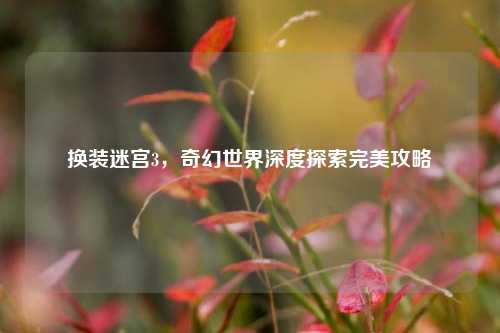 换装迷宫3，奇幻世界深度探索完美攻略