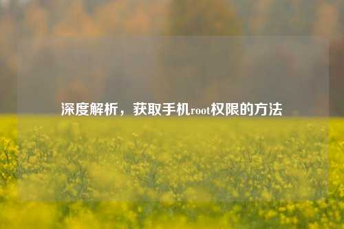 深度解析，获取手机root权限的方法