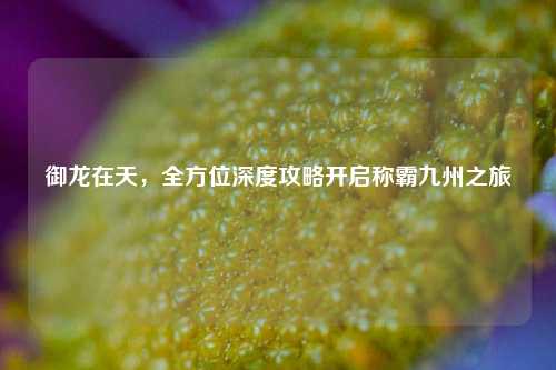 御龙在天，全方位深度攻略开启称霸九州之旅