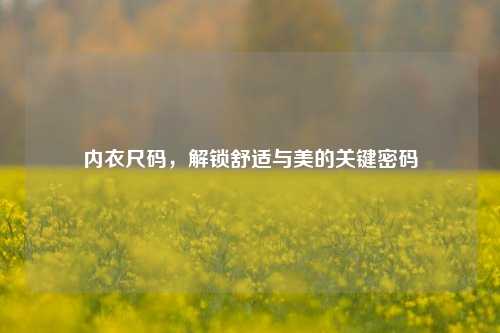 内衣尺码，解锁舒适与美的关键密码