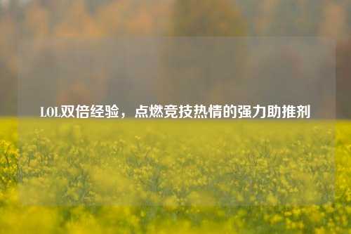 LOL双倍经验，点燃竞技热情的强力助推剂