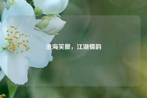 沧海笑傲，江湖情韵