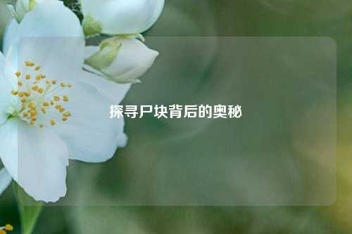 探寻尸块背后的奥秘
