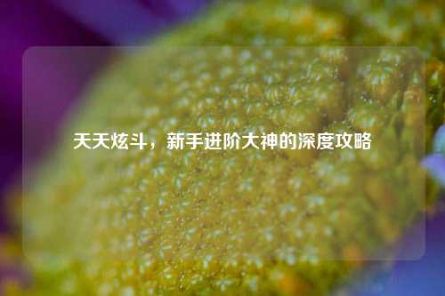 天天炫斗，新手进阶大神的深度攻略