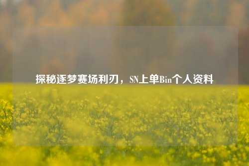 探秘逐梦赛场利刃，SN上单Bin个人资料
