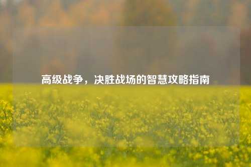 高级战争，决胜战场的智慧攻略指南