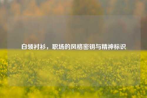 白领衬衫，职场的风格密钥与精神标识
