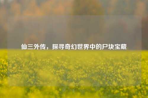 仙三外传，探寻奇幻世界中的尸块宝藏