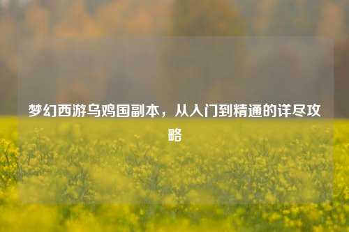 梦幻西游乌鸡国副本，从入门到精通的详尽攻略