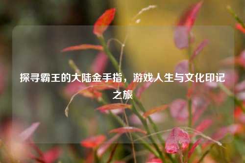 探寻霸王的大陆金手指，游戏人生与文化印记之旅