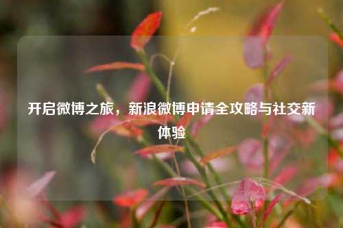 开启微博之旅，新浪微博申请全攻略与社交新体验