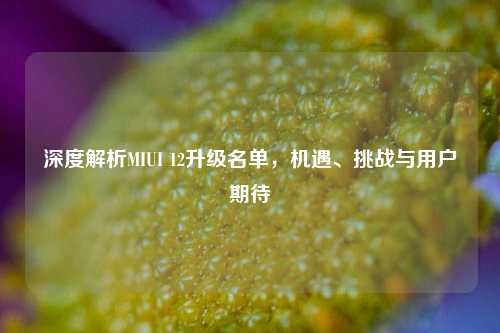 深度解析MIUI 12升级名单，机遇、挑战与用户期待