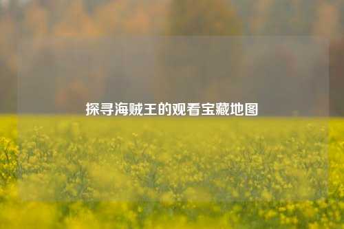 探寻海贼王的观看宝藏地图