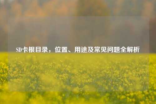 SD卡根目录，位置、用途及常见问题全解析