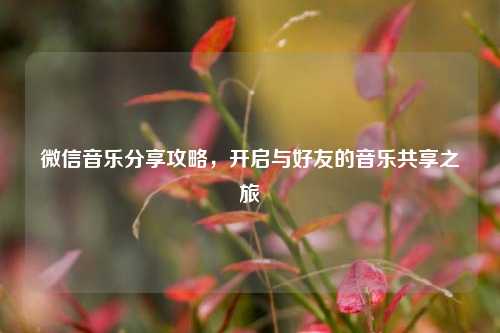 微信音乐分享攻略，开启与好友的音乐共享之旅