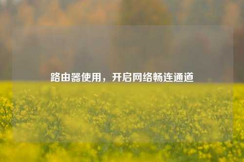 路由器使用，开启网络畅连通道