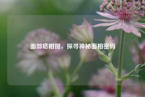 面部痣相图，探寻神秘面相密码